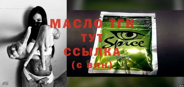 spice Богородицк