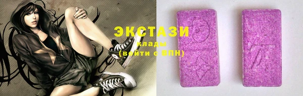 spice Богородицк