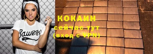 сатива Богданович