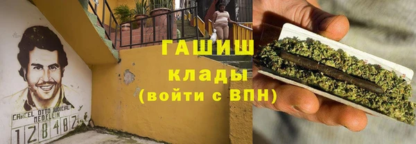 spice Богородицк