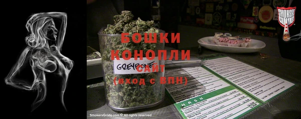 сатива Богданович