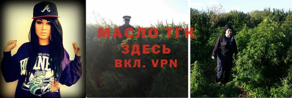 spice Богородицк
